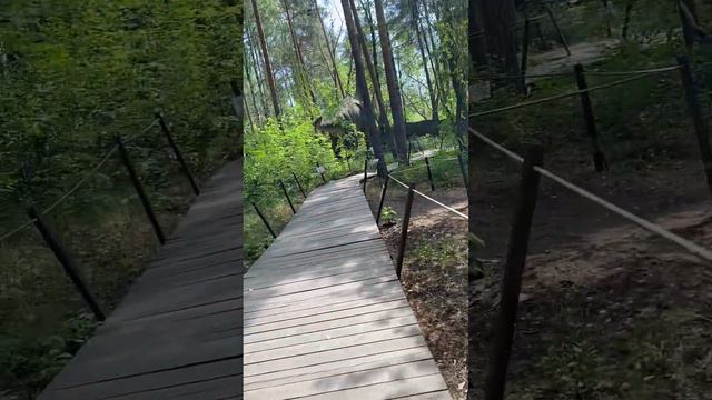 Парк Юрского Периода. Живые динозавры смотреть онлайн