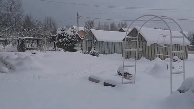 Первые морозы - 20 гр.позади. 12 декабря. смотреть онлайн