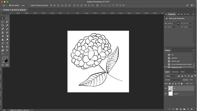 How to Change the Color of Line Art on Photoshop смотреть онлайн