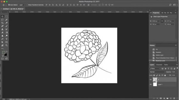 How to Change the Color of Line Art on Photoshop