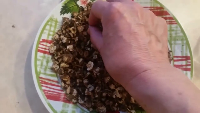 Мой кофе из корня одуванчика_ заготовка, сушка, напиток смотреть онлайн