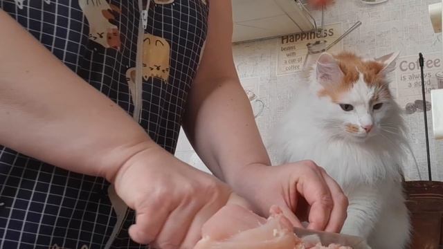 Главный Помощник на кухне Кот Лучик! Скрытая камера зафиксировала его участие! смотреть онлайн