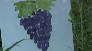 Улица Сезам  Веселый алфавит 2007 DVDRip