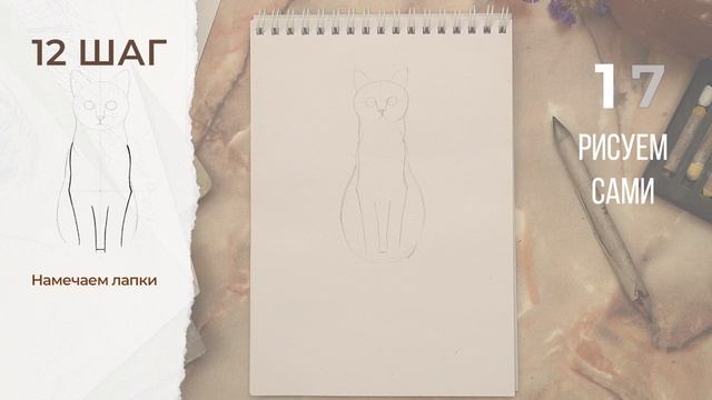 Как нарисовать кошку поэтапно карандашом | Обучающие видео-уроки рисования для начинающих. смотреть онлайн