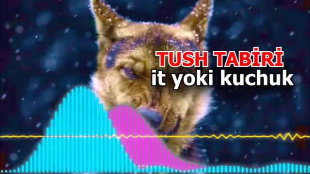tushda kuchuk yoki it bolasini koʻrish - Tushda it koʻrish belgisi - Тушда ИТ курса смотреть онлайн
