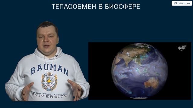 Учебный курс Экология Лекция 3 Биосфера Структура биосферы смотреть онлайн