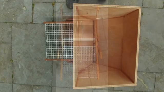 Rat Free Chicken Feeder (Including Rats!) смотреть онлайн