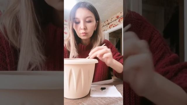 Как вырастить Хурму из косточки дома смотреть онлайн