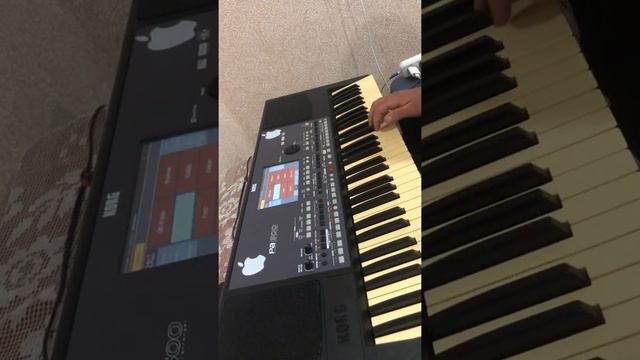 Армянские стили и звуки для Korg pa 600,700,800,900, и 3х. Очень качественные, хорошее звучани. смотреть онлайн