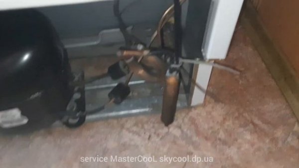 Здоровенный холодильник SEG диагностика