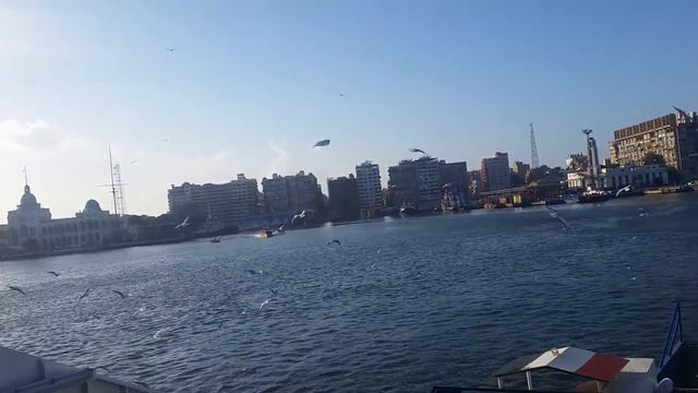 from port said ferry, suez canal смотреть онлайн
