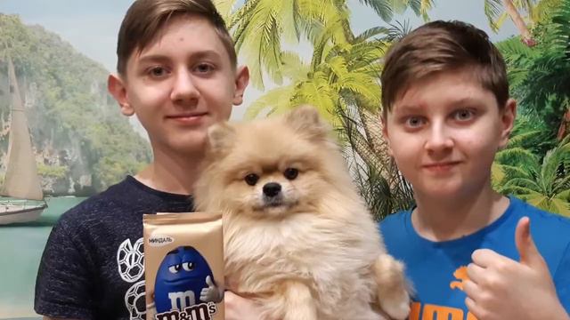 Моя любимая собачка, Лукасику 2 года. смотреть онлайн