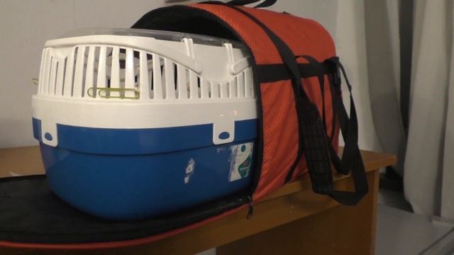 ВЛОГ ИЗ ЕКАТЕРИНБУРГА | КАК НУЖНО ПЕРЕВОЗИТЬ КРЫС?