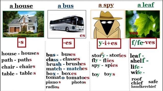 Единственное и множественное число существительных в английском языке смотреть онлайн