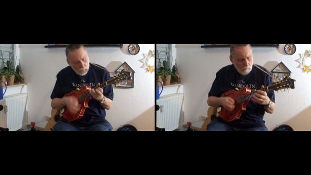 Bluegrass Special - Bluegrass Mandoline смотреть онлайн