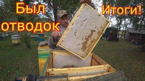 КАРНИКА был  ОТВОДОК! Сколько принёс мёда!!! ИТОГИ!
