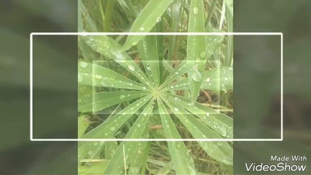 Иосиф Бродский - Письмо смотреть онлайн