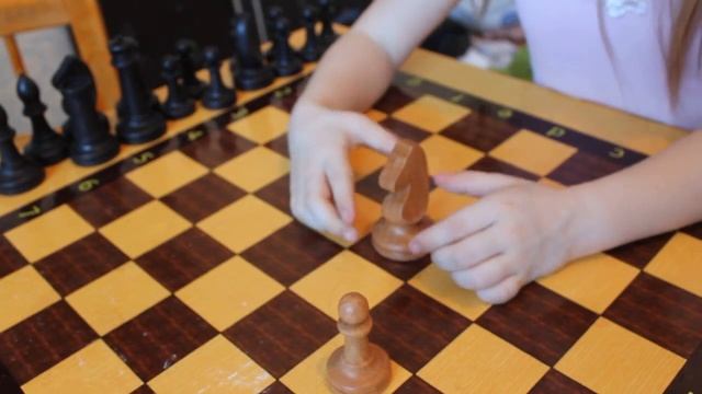 Шахматы: ладья, конь смотреть онлайн