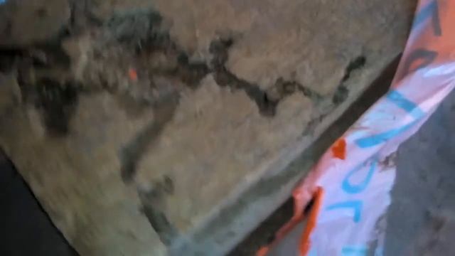 Едят ли мыши утеплитель бозальтовая вата