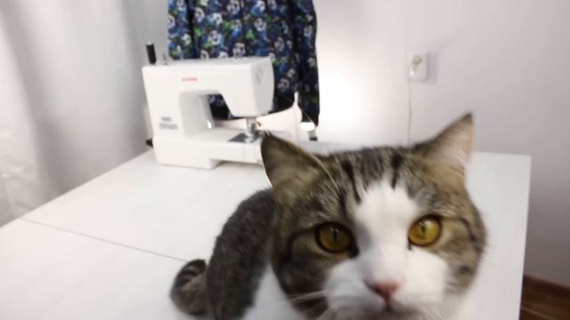 Мужская куртка-бомбер. Шью сама. По выкройке № 134 Burda 9/2014. DIY bomber jacket смотреть онлайн