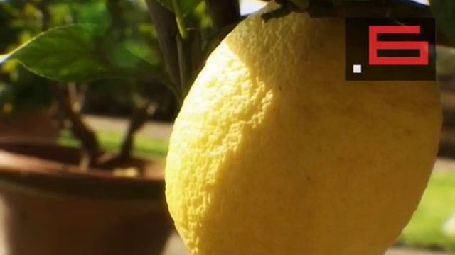 италия и итальянцы сады и парки 02 смотреть онлайн