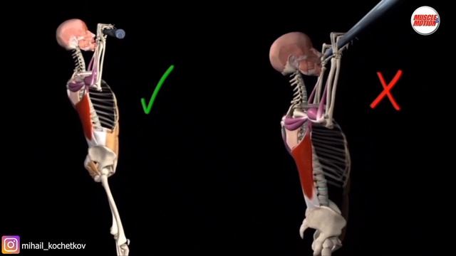 Подтягивания на турнике смотреть онлайн