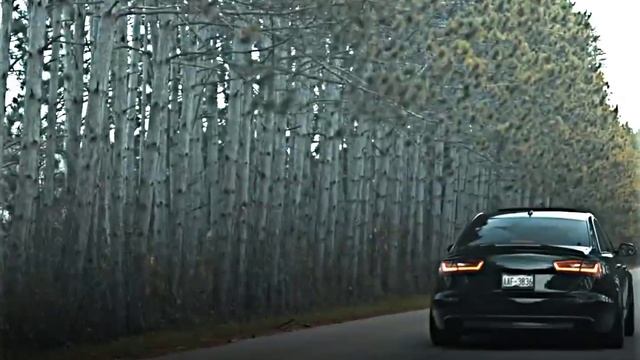 AUDI LOVER 4K STATUS || AUDI CAR STATUS|| - [ Eminem ] Not Afraid Song - Audi 4k
