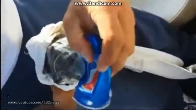 Жёсткая рыба! смотреть онлайн