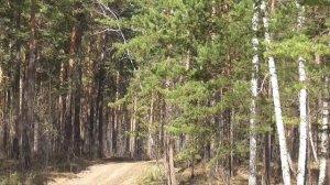 Исцеление от эпилепсии   Сытин Г.Н.  (без муз.)