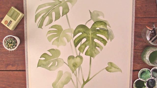 Monstera plant | watercolor painting tutorial смотреть онлайн