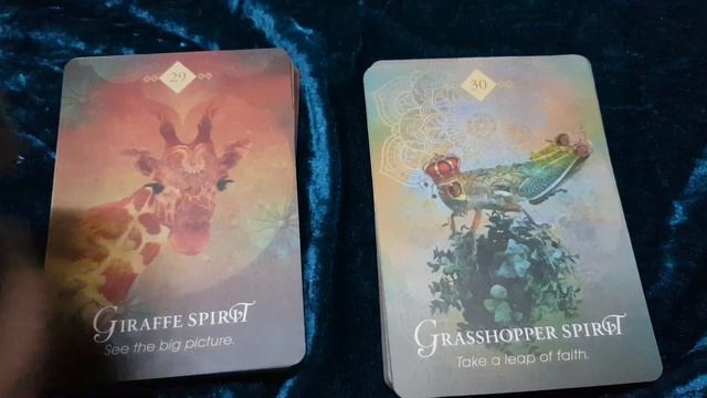 The Spirit Animal Oracle смотреть онлайн