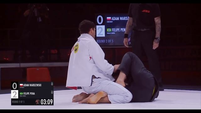 Felipe Pena Vs Adam Vardzinski ACB JJ 12