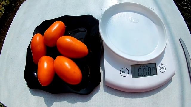 Томат Луч смотреть онлайн