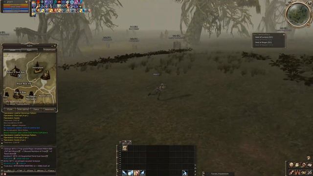Lineage 2: Dark Wizard