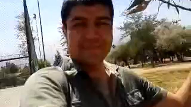 309-MC Arbol Caido. Pr. Ricardo Diaz Ibanez.