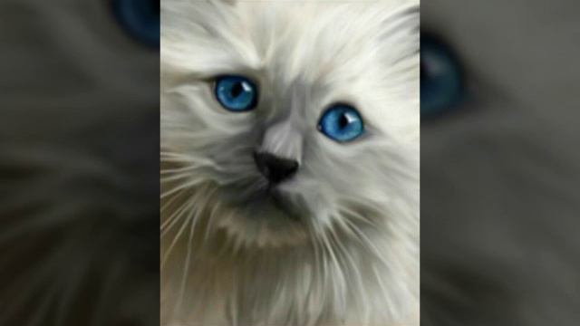 Коты-Воители ♪Синеглазка♪