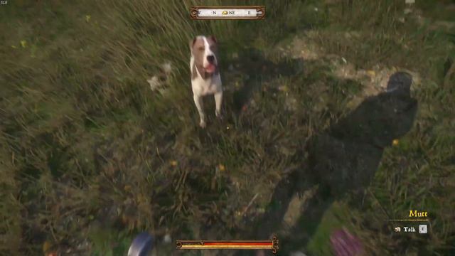Part 005/Kingdom Come: Deliverance смотреть онлайн