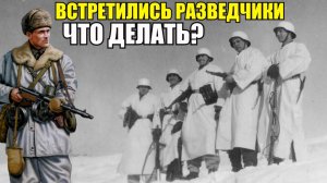 Встретились немецкие и советские разведчики Два необычных случая на Ленинградском фронте