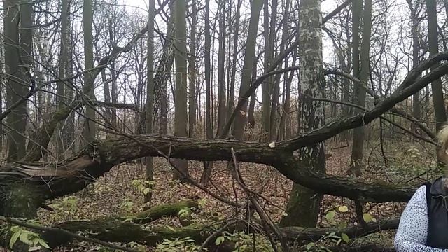 сказка 1, 1 часть Рождение Аниан смотреть онлайн