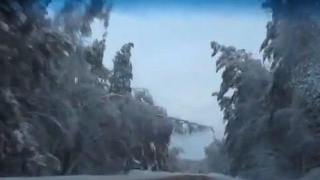 Сказочные зимние картины. Деревья над дорогой день смотреть онлайн