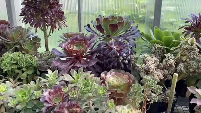 Сезон 2023 открыт! смотреть онлайн