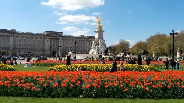 Buckingham Palace Flowers смотреть онлайн