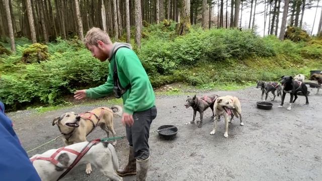 Хаски катали нас по Аляске! Juneau, Alaska смотреть онлайн