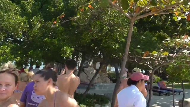 К нам на пляж приплыл питон смотреть онлайн