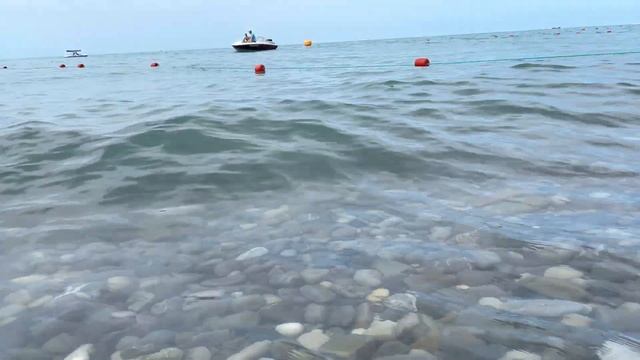 Прибытие банана в Лазаревском, вода как слеза смотреть онлайн