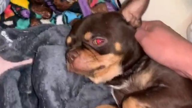 Всем спокойной ночи и самых добрых снов. смотреть онлайн