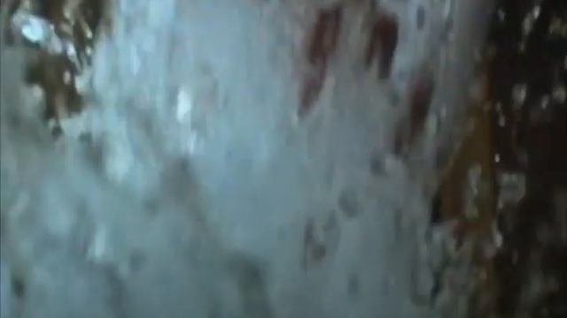 Про рыб и змей Рыбы часть2 -- About Fishes And Snakes - Part 2