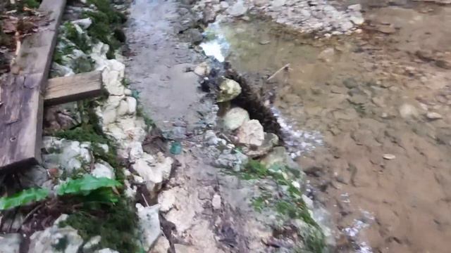 Поездка в Абхазию №4 смотреть онлайн