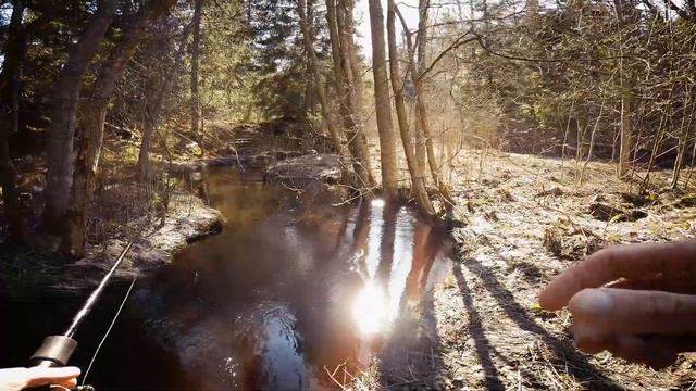 Открытие рыболовного сезона, форель на спиннинг, 2023 ( май ) смотреть онлайн