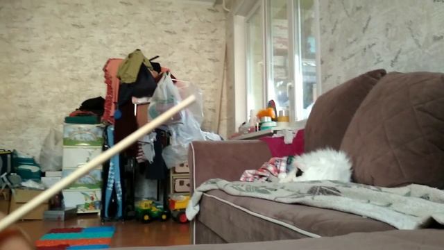 Они существуют! Увидел инопланетян и решил с ними дружить. смотреть онлайн